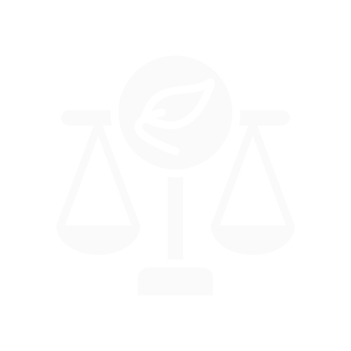 Translate reform intent into implementation plans that work inside real regulatory operating environments while day-to-day regulation continues